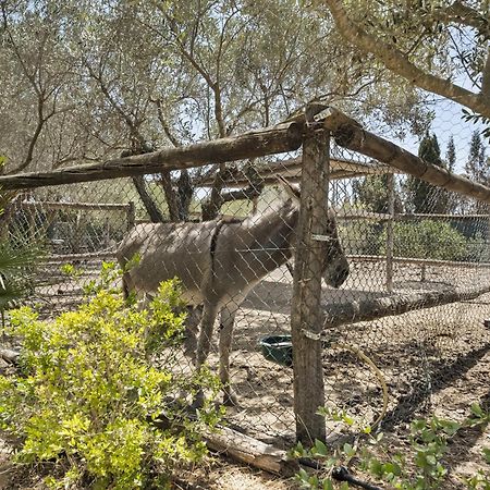 Cambiardeaires Rural Piedra Villa Pilar de la Horadada Eksteriør bilde